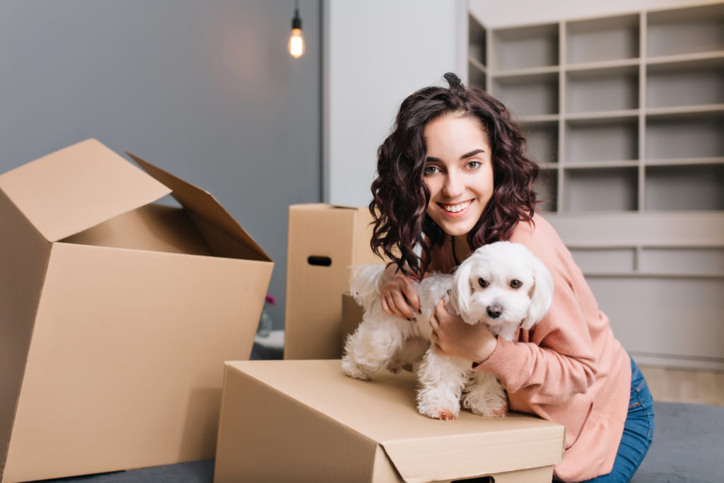 Dog moving with the Globally mobile Expat family