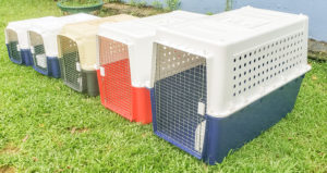 crates for pets