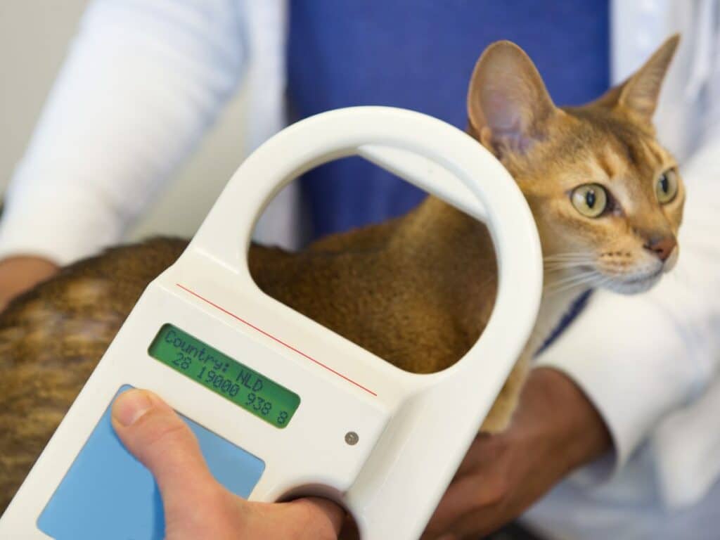 how to search for dogs microchip number