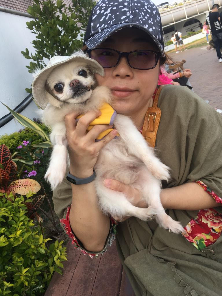 Pet Boarding Service Assistant and Company Administration - Jessica Liu
