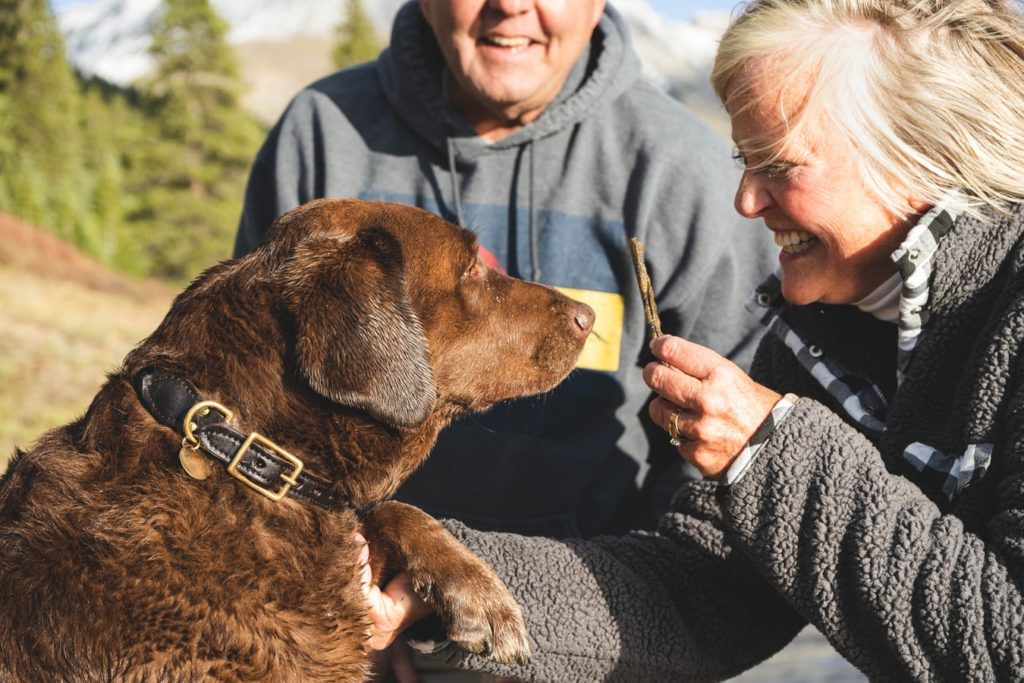 dog with family