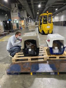 preparing crates in cargo terminal