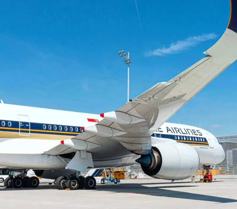 pet travel singapore airlines