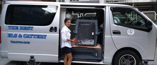 pickup & delivery service