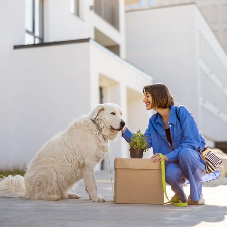 pet relocation and shipping to malaysia