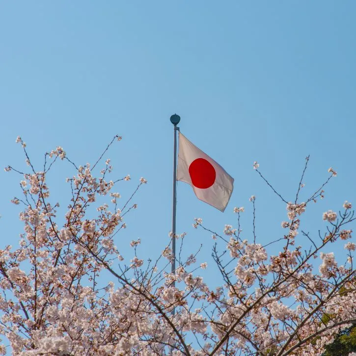 flag of japan