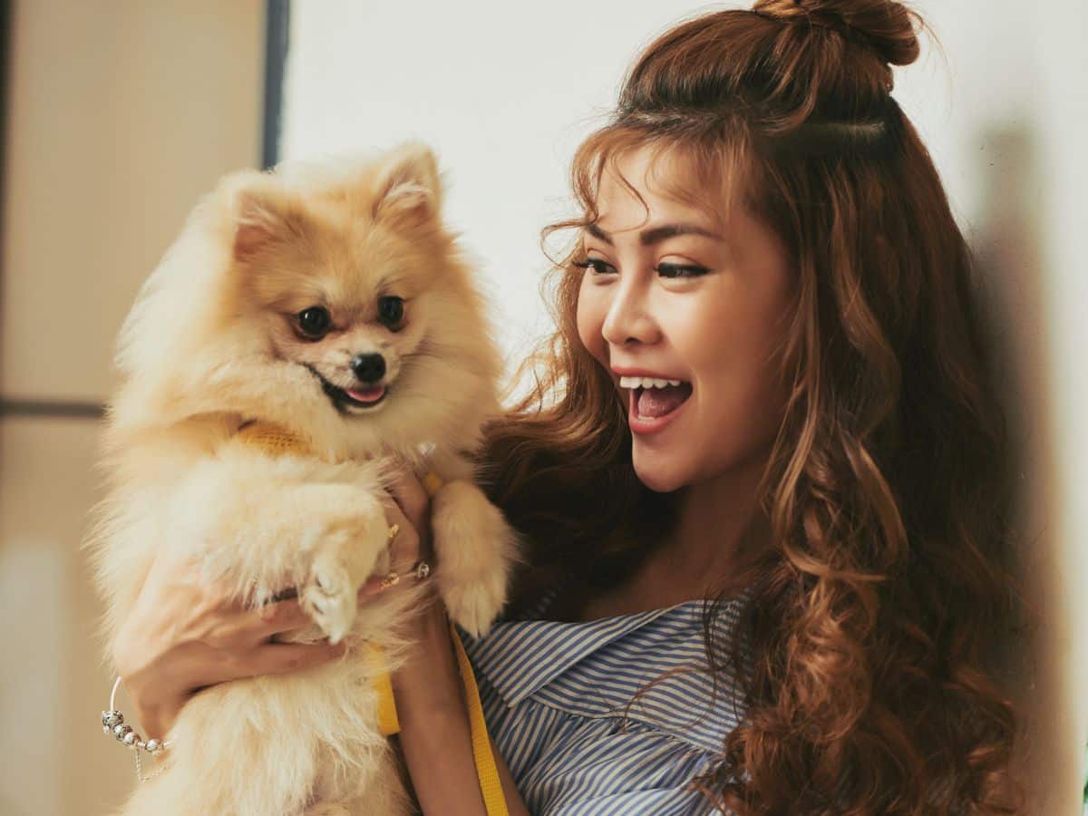 Pet Relocation To/From Cambodia Best Pet Transport Service