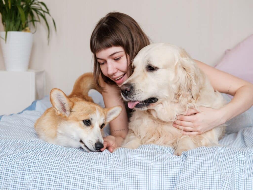 Avoid Pet Quarantine in Canada