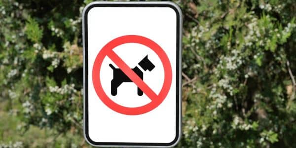 banned dog breeds in greece