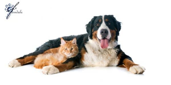 Trusted Expertise and Advice