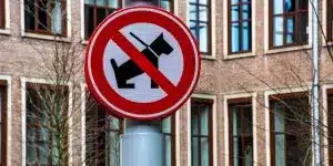 breed-restrictions-in-france