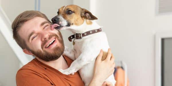 cat and dog relocation & shipping to france