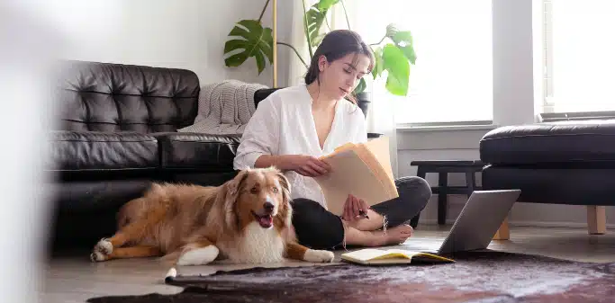 pet documents