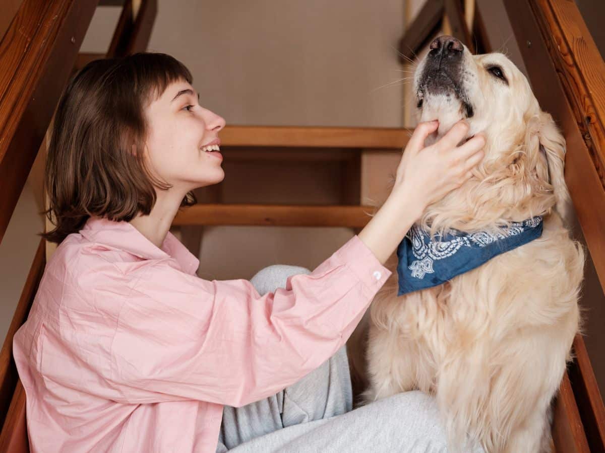 pet quarantine canada