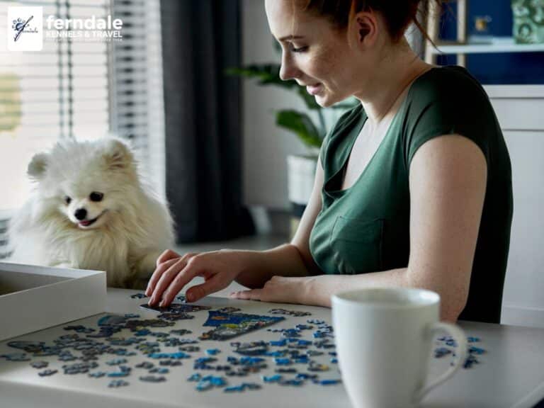 Pet Quarantine in New Zealand Comprehensive Guide