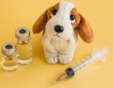 pet vaccination