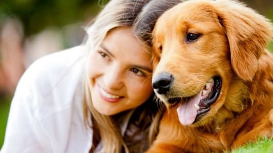 Organising a Pet Relocation to Europe
