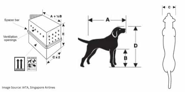 pet container requirements