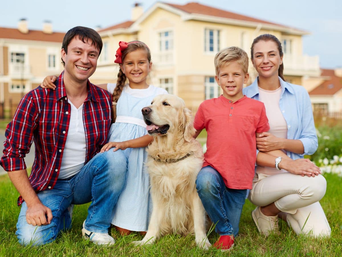 how to travel to ireland with a pet