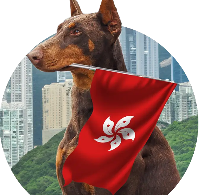 pet relocation to hongkong